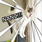 $nani