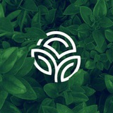 Витамины БАД Сербия NSP🍀
