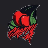 CHERRY-Женская и Мужская Обувь /Дроп/Опт/Роз/
