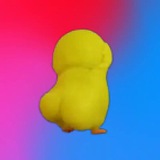 duckwifgyatt 🦆 community