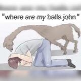 Dog ballz