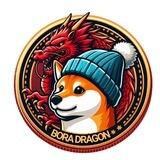 BORA DRAGON | PORTAL