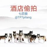 酒店偷拍【实时直播/精彩回放】