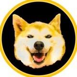 Dogecoin 2 on Solana CTO $DOGE2