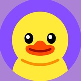 Duck News