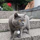 杭州养鱼女仆小酒馆