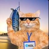 KOL the cat - $CTKOL