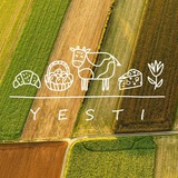 Yestifood