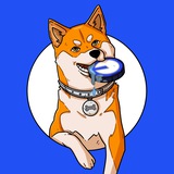Kabochan | Vitalik’s Favorite Dog