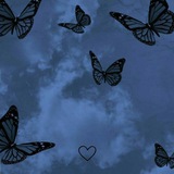 🦋Butterfly🦋