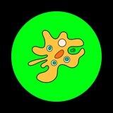 Amoeba | Portal