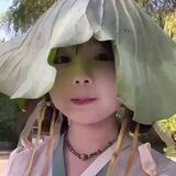 林依秋飞行记.