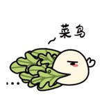 菜鸟机场/便宜机场/福利分享/薅羊毛/吹水闲聊/翻墙/梯子/VPN