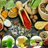کانال دوم علمی تجربی استنادی حکیم دکتر سالم حصاری