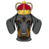 DogeKing 万倍社区
