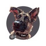 CLARK CTO