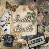 () 商业工作; seatlhe casstle, i?