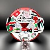 D.S Palestine 🔻🇵🇸