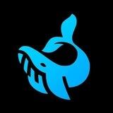 Что говорят киты? 🐋 Solana XRP Ripple Toncoin LayerAI StarkNet MERL Arbitrum Bitcoin Sui Celestia Ethereum