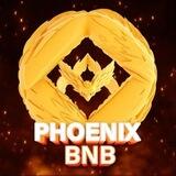 PhoenixBnb_Brasil