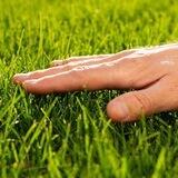 Touch Grass - PORTAL