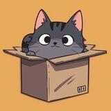 Box Cat Portal