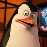 Kowalski coin