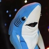 shork portal