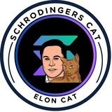 Schrodinger On SOL | Elons Cat
