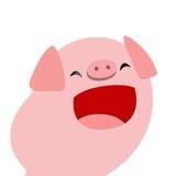 $POPPIG Coin