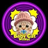 Baby CatWifHat |SOL