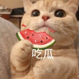 精品瓜🍉