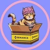 catwifbox | $WIFB Community