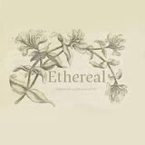 Ethereal.