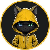 BurnCat Chat