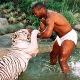 $BORIS - Mike Tyson cute pet “cat”