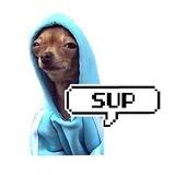$SUPDOG | Solana