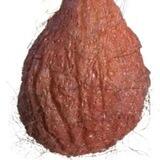Ballsack.one Portal