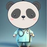 DR PANDA PORTAL 🐼