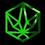 TON HYDRA coin
