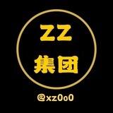 zz集团