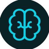 BNDR AI - Portal