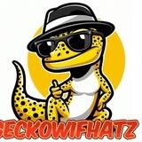 GeckoWifHatz Solana | PORTAL