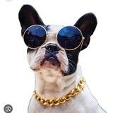 DogwithChainz