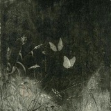 فُسحة أدب - زَينب نعال