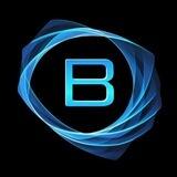 Blink portal