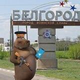 Мысли Мото Мото