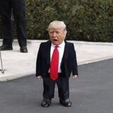 trumz