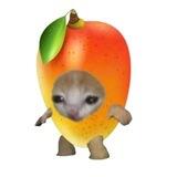 MANGO CAT PORTAL