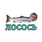 The russian salmon - $лосось